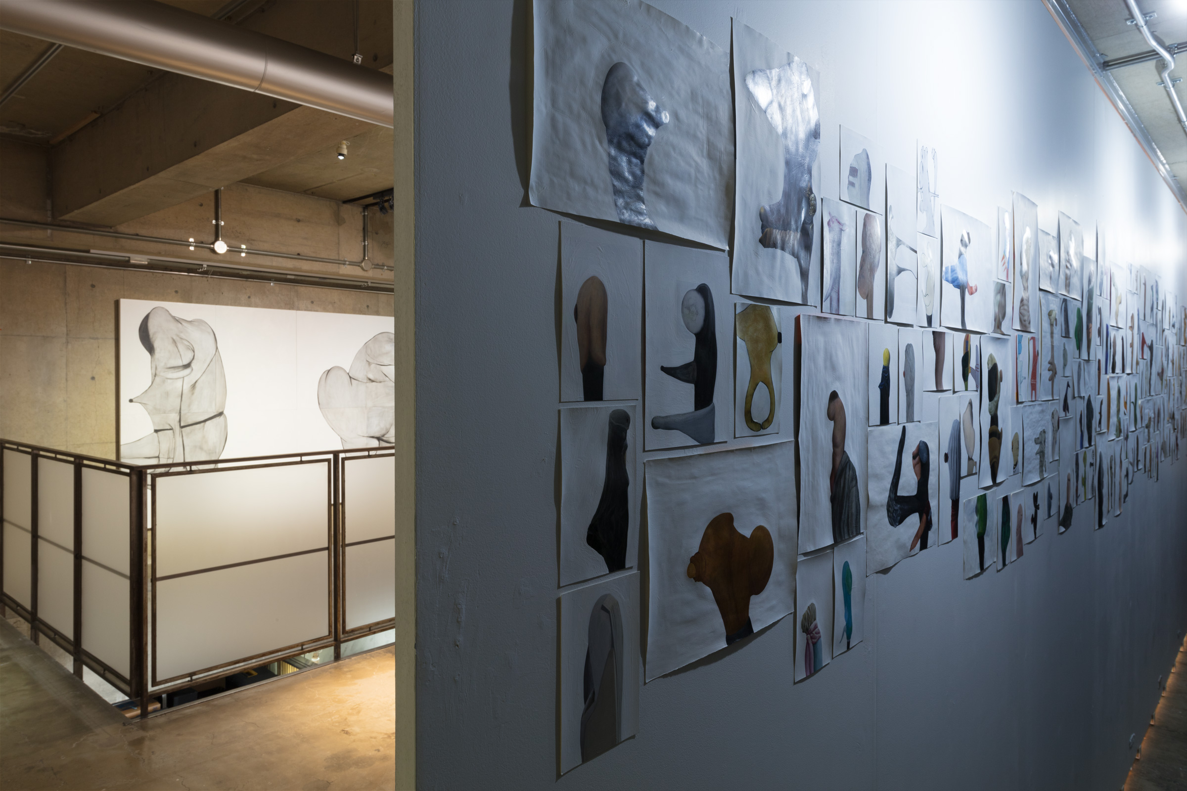 Installation view 6