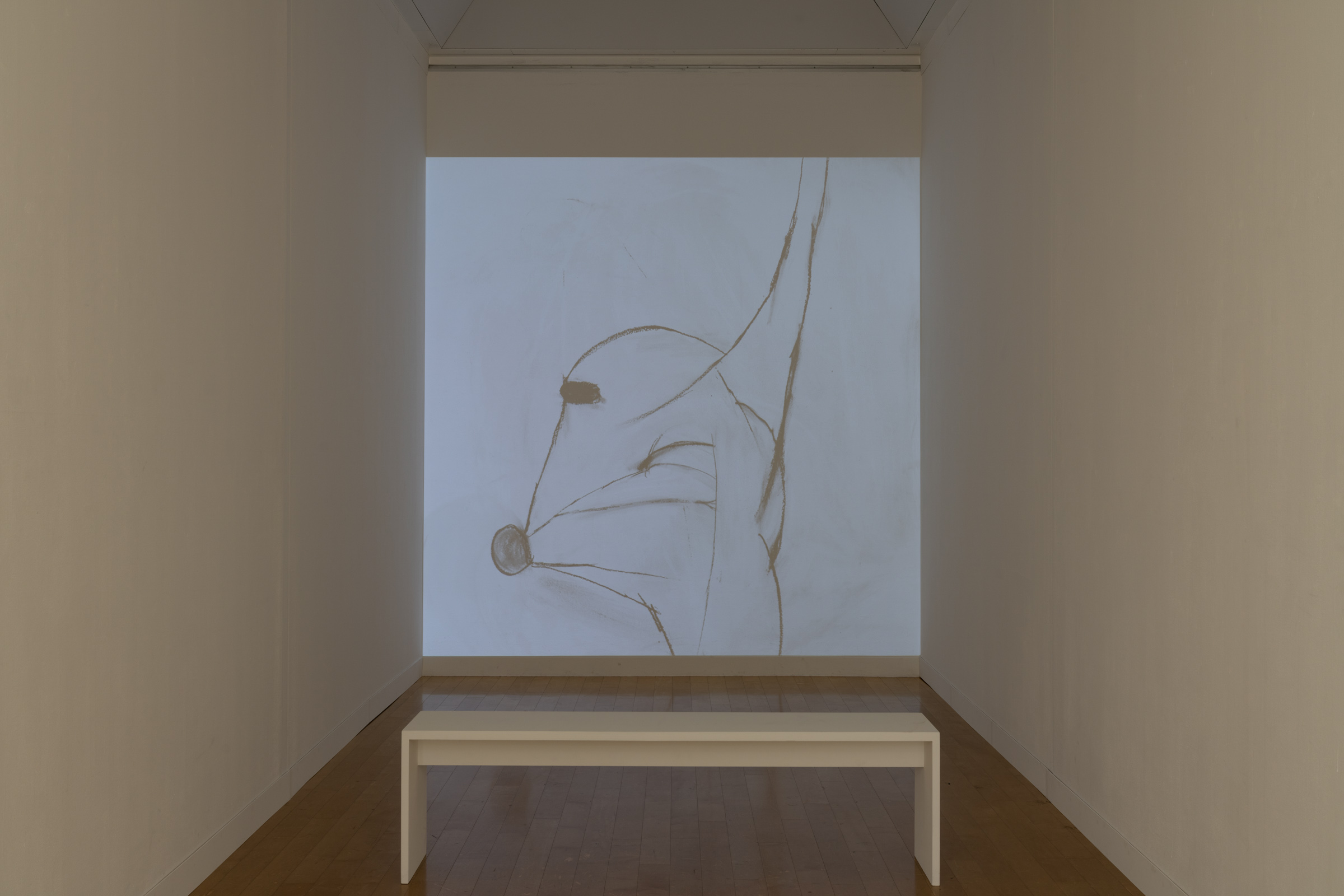 Installation view 18